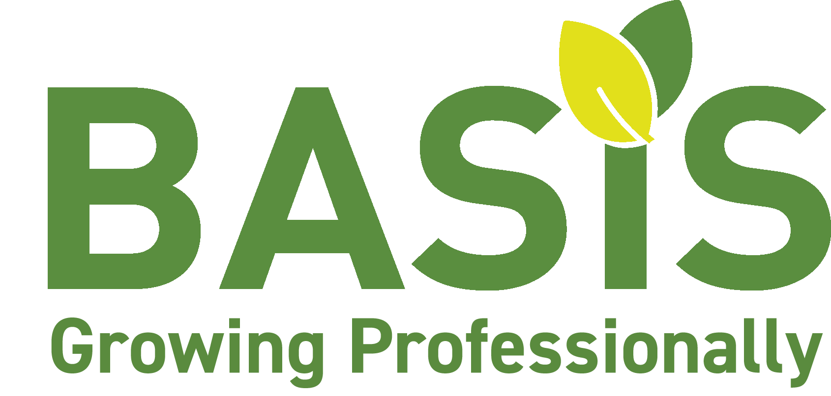 BASIS Logo